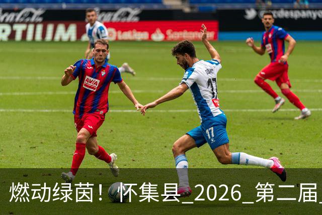 燃动绿茵！怀集县 2026 第二届 “环山 & 中天杯” 元老足球赛完整赛程出炉，全城球迷速看！